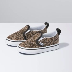 Toddler Vans